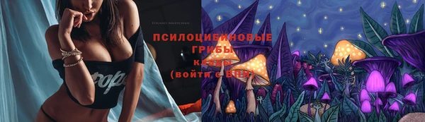 apvp Аркадак