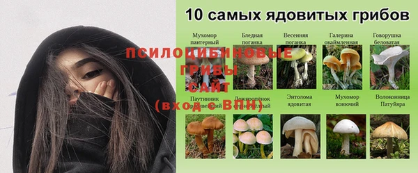 гидропоника Армянск